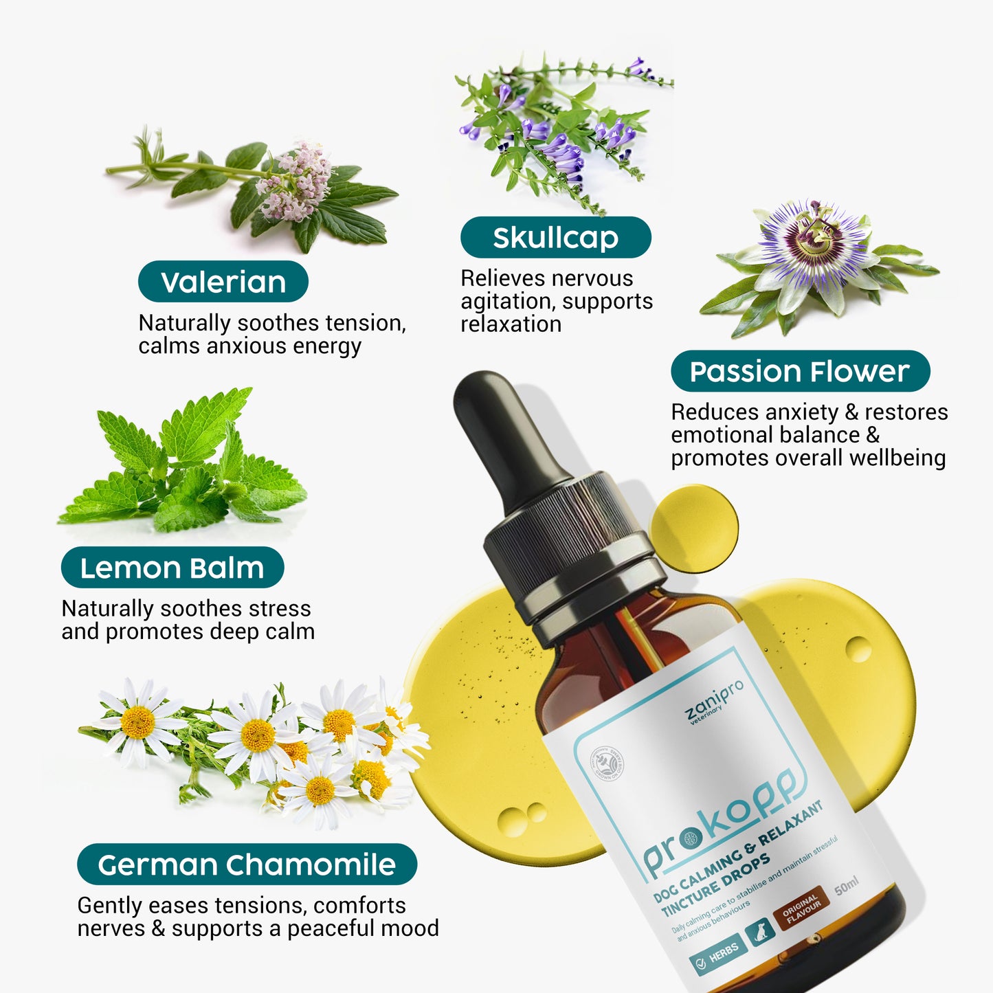 Cat Calming Drops – Herbal Anxiety & Stress Relief (50ml)