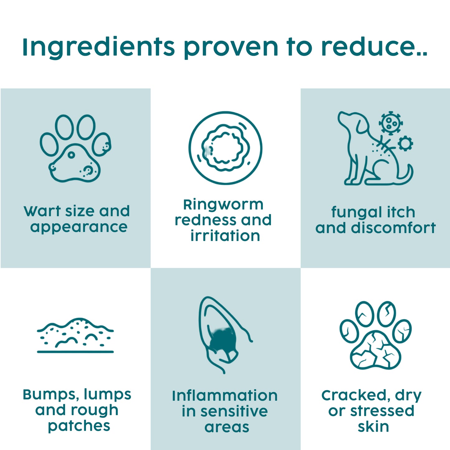List of ingredients proven to reduce various skin conditions in dogs on a light blue background.
