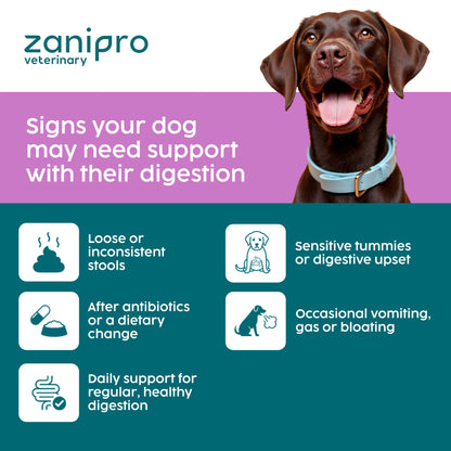 Slippery Elm & Tree Barks Probiotic Powder for Dogs & Cats – Gut & Digestive Support (100g)