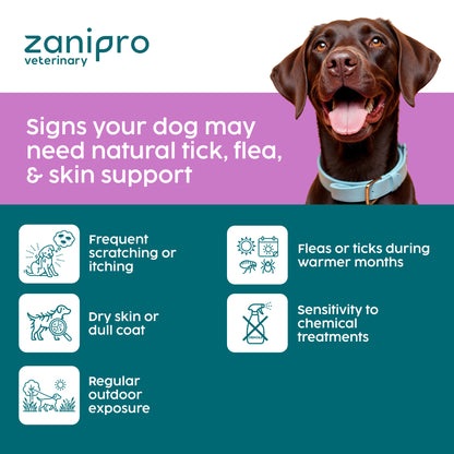 Zanipro Natural Tick & Flea Support Powder for Dogs | Thiamine & Brewer’s Yeast | 100g