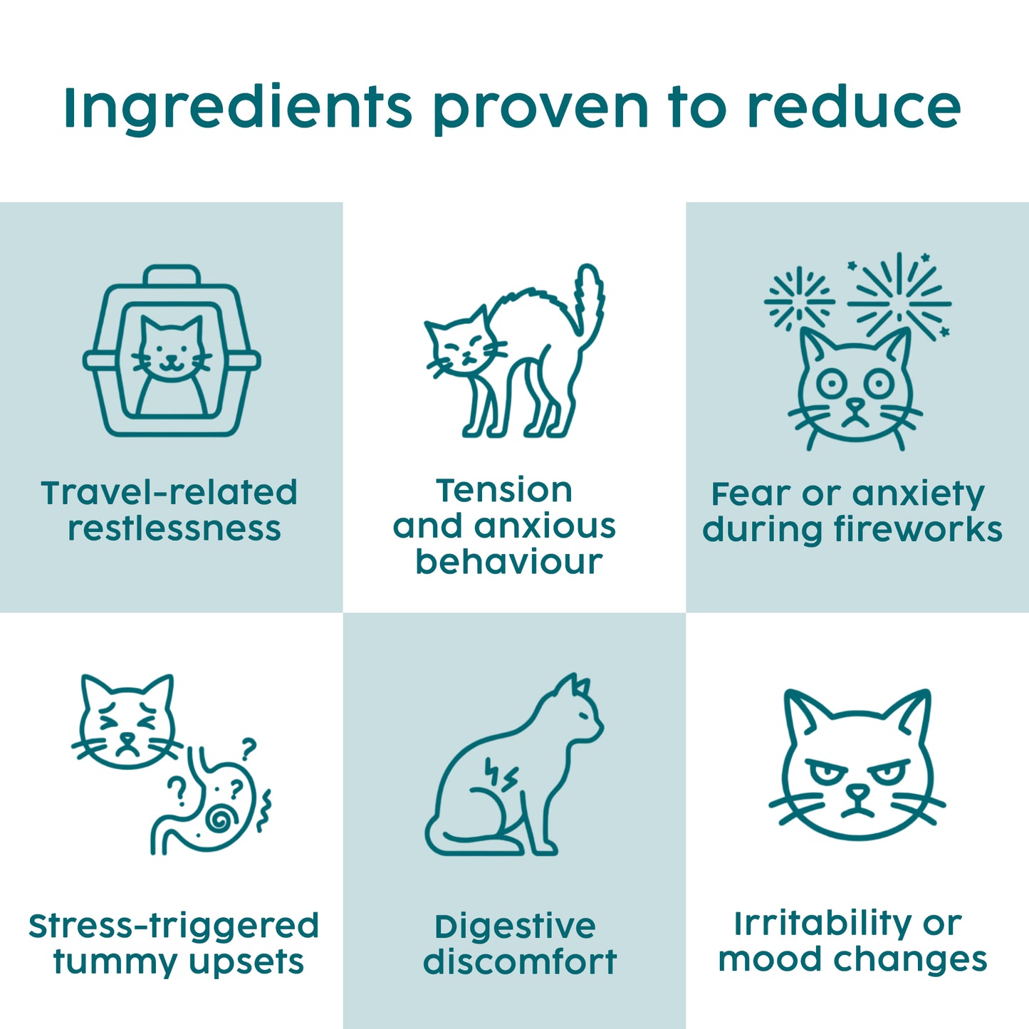 Cat Calming Powder – Anxiety & Stress Relief with L-Tryptophan & Probiotics (100g)