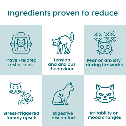 Cat Calming Powder – Anxiety & Stress Relief with L-Tryptophan & Probiotics (100g)