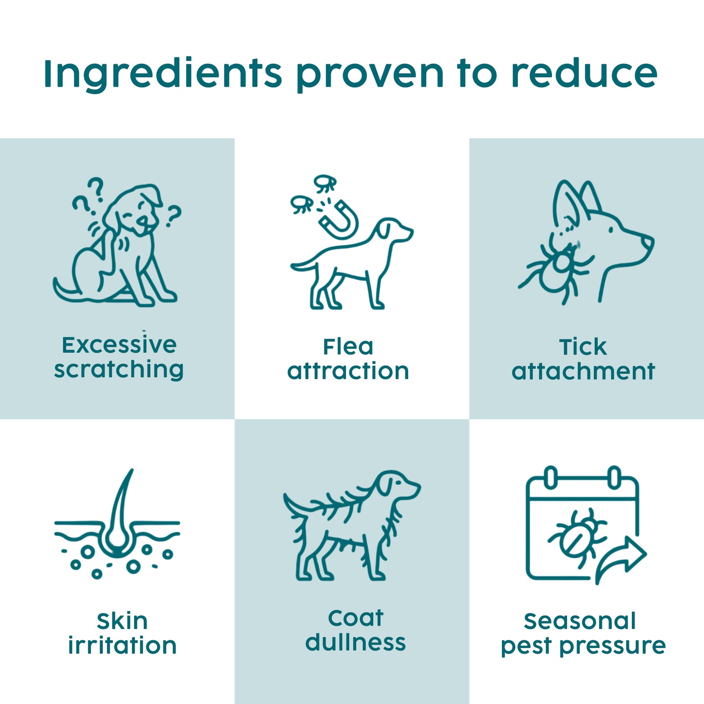 Zanipro Natural Tick & Flea Support Powder for Dogs | Thiamine & Brewer’s Yeast | 100g