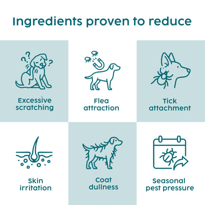 Zanipro Natural Tick & Flea Support Powder for Dogs | Thiamine & Brewer’s Yeast | 100g