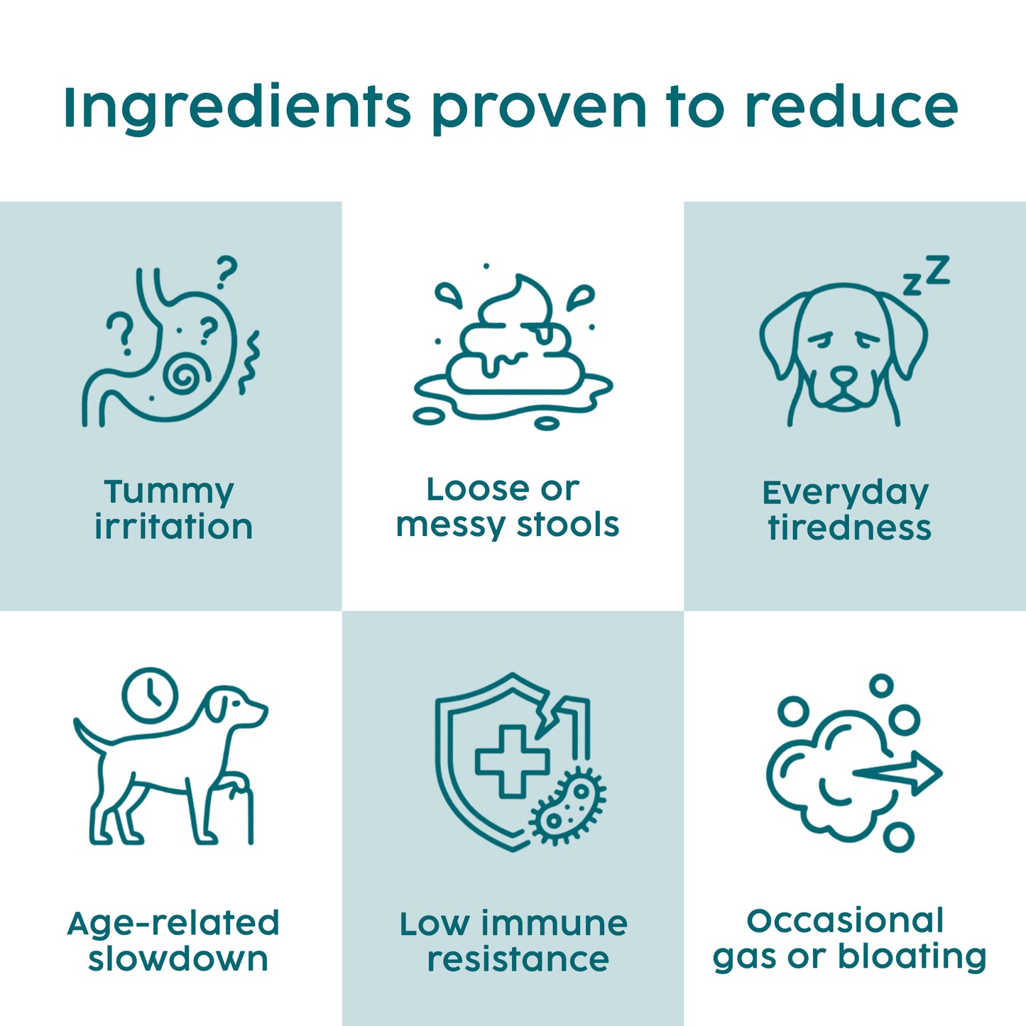 Illustrations of dog care issues and their solutions on a blue background