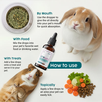 Joint Supplement Drops for Rabbits & Small Animals – Glucosamine & MSM (30ml)