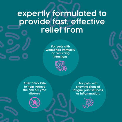 ProTum Expert Flea & Lyme Treatment for Dogs – Herbal Antimicrobial Cure for Lyme & Tick Symptoms, Intensive Root Cause Support | 50ml