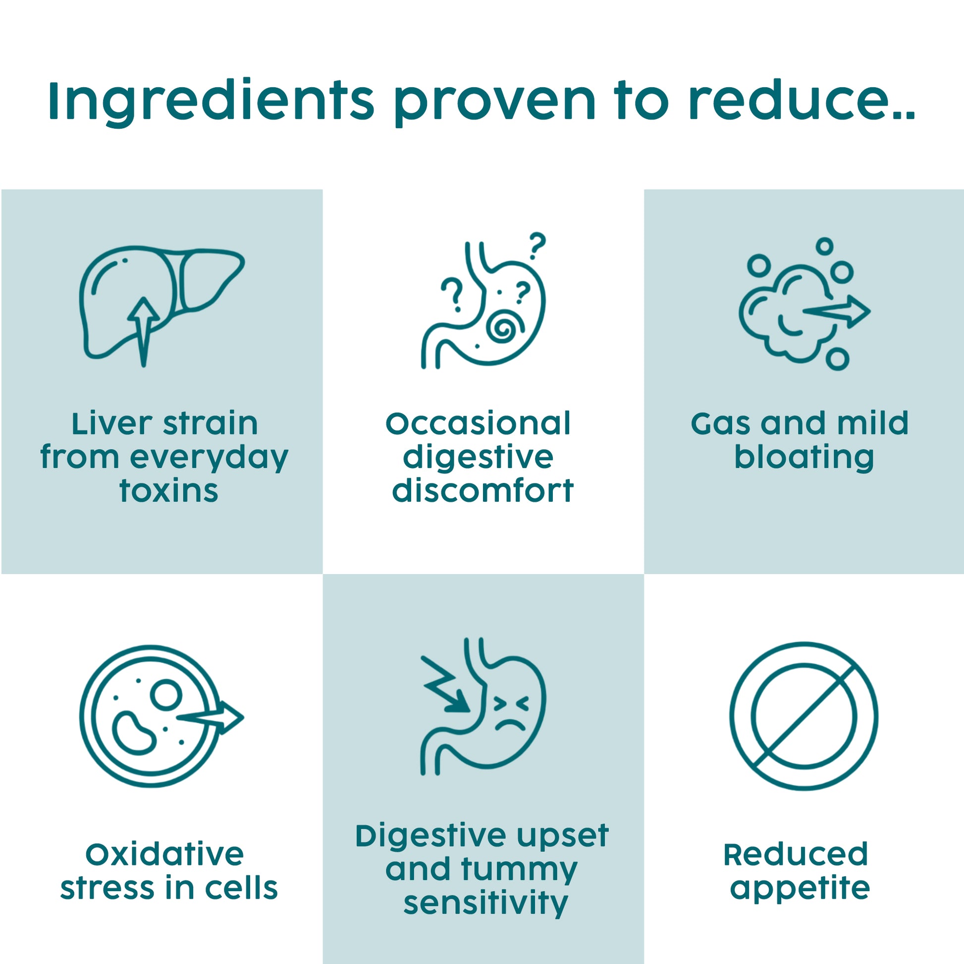 List of ingredients in the milk thistle proven to reduce various digestive issues with icons and text on a light blue background.