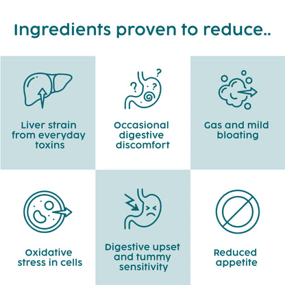 List of ingredients in the milk thistle proven to reduce various digestive issues with icons and text on a light blue background.