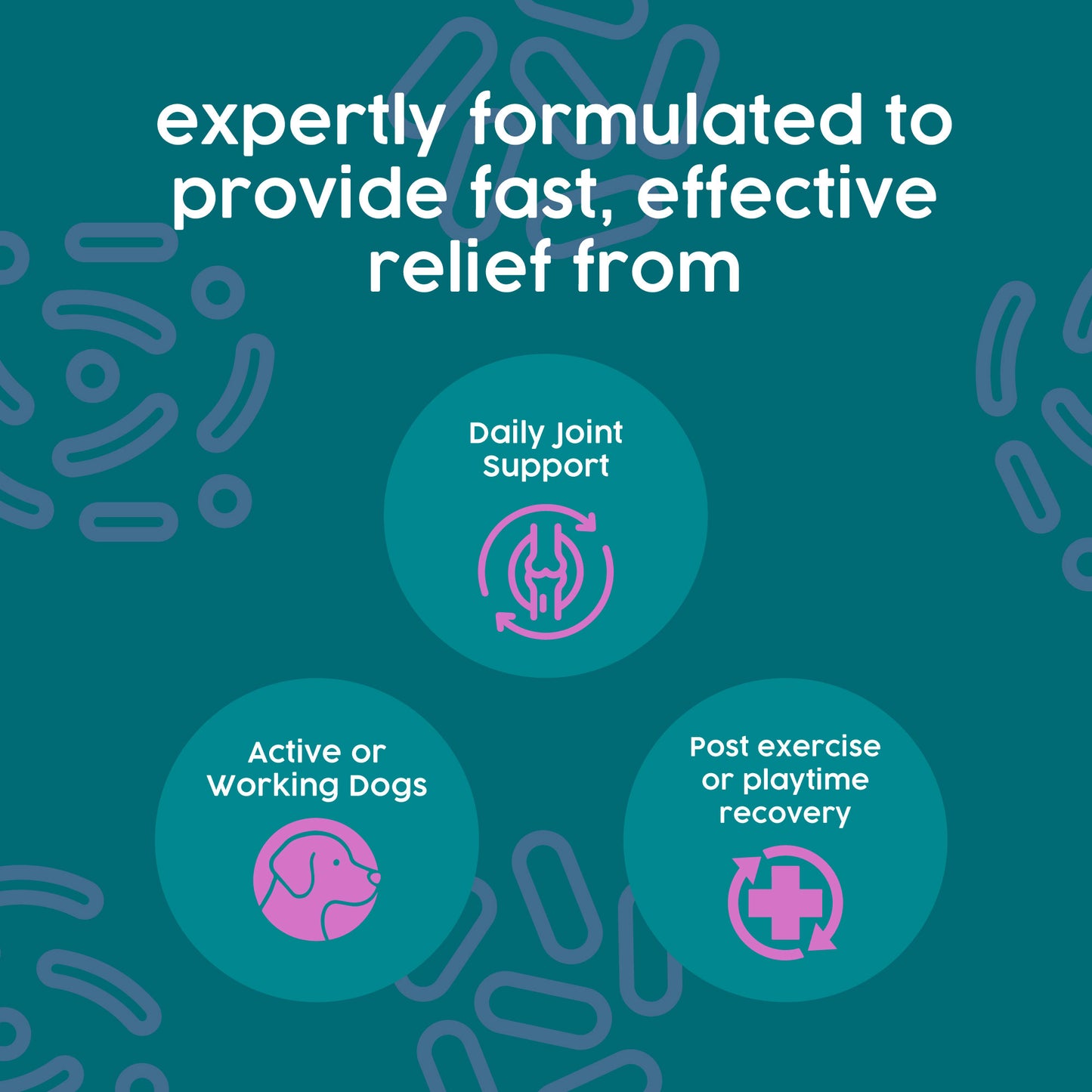 ProKopp Joint Supplements for Dogs & Cats – Natural Glucosamine & Anti-Inflammatory Pain Relief for Arthritis & Hip Support | 50ml