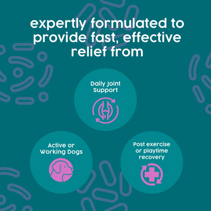 ProKopp Joint Supplements for Dogs & Cats – Natural Glucosamine & Anti-Inflammatory Pain Relief for Arthritis & Hip Support | 50ml