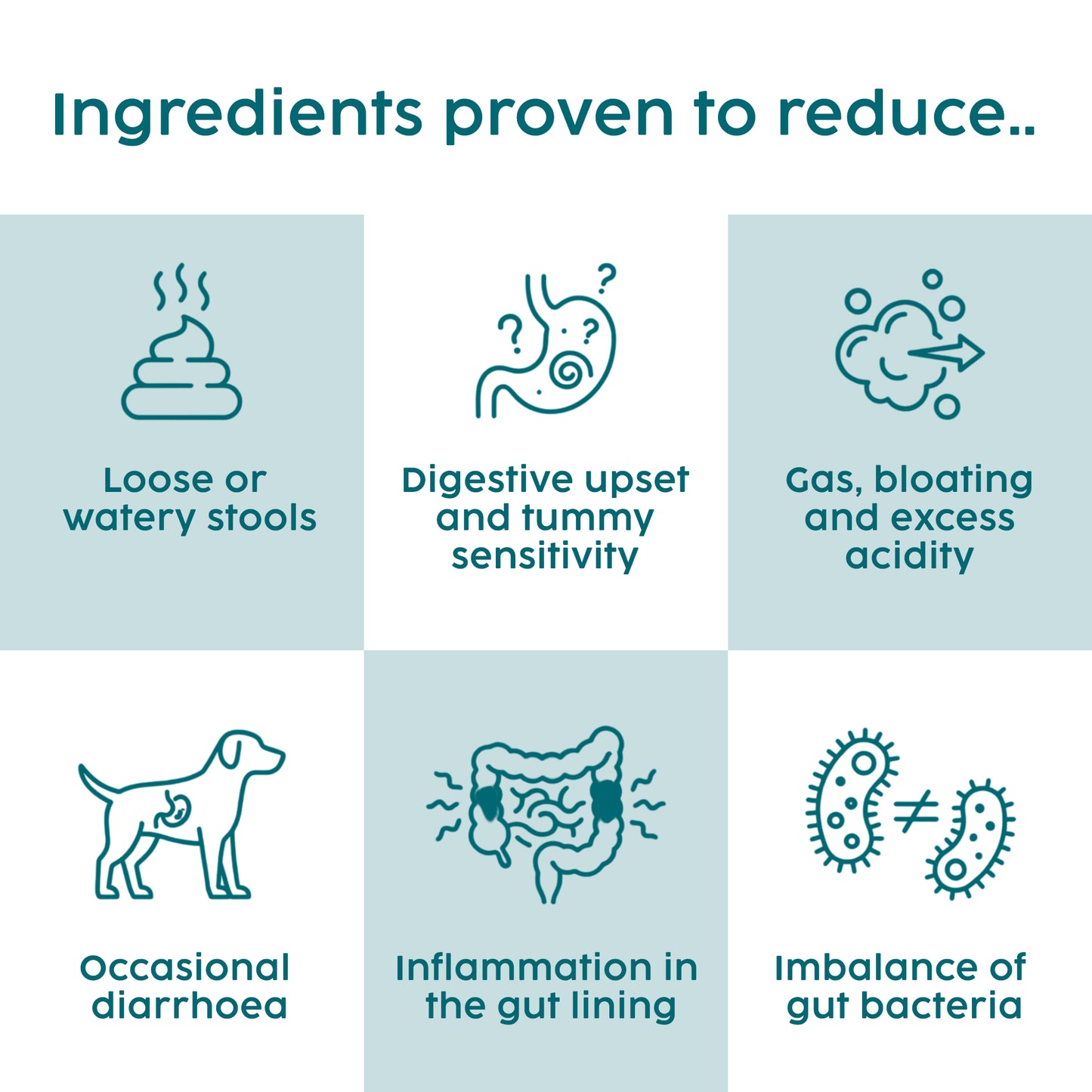 Slippery Elm & Tree Barks Probiotic Powder for Dogs & Cats – Gut & Digestive Support (100g)