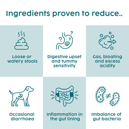 Slippery Elm & Tree Barks Probiotic Powder for Dogs & Cats – Gut & Digestive Support (100g)