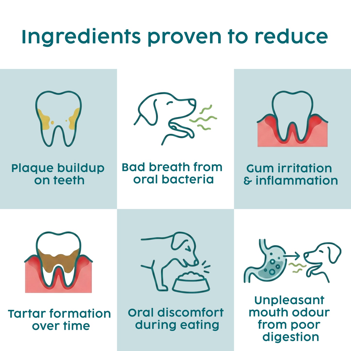 Dental Powder for Dogs & Cats – Natural Plaque & Breath Support (100g)