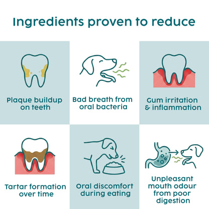 Dental Powder for Dogs & Cats – Natural Plaque & Breath Support (100g)