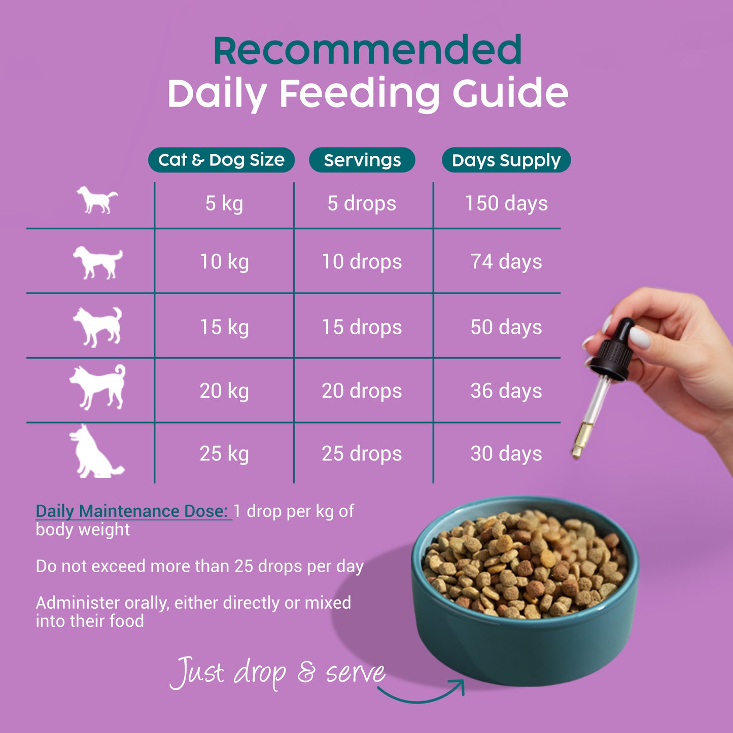 Feeding guide for cats and dogs with a dropper and bowl on a purple background