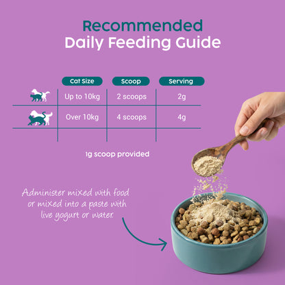 Feeding guide for cats with a hand pouring food into a bowl on a purple background
