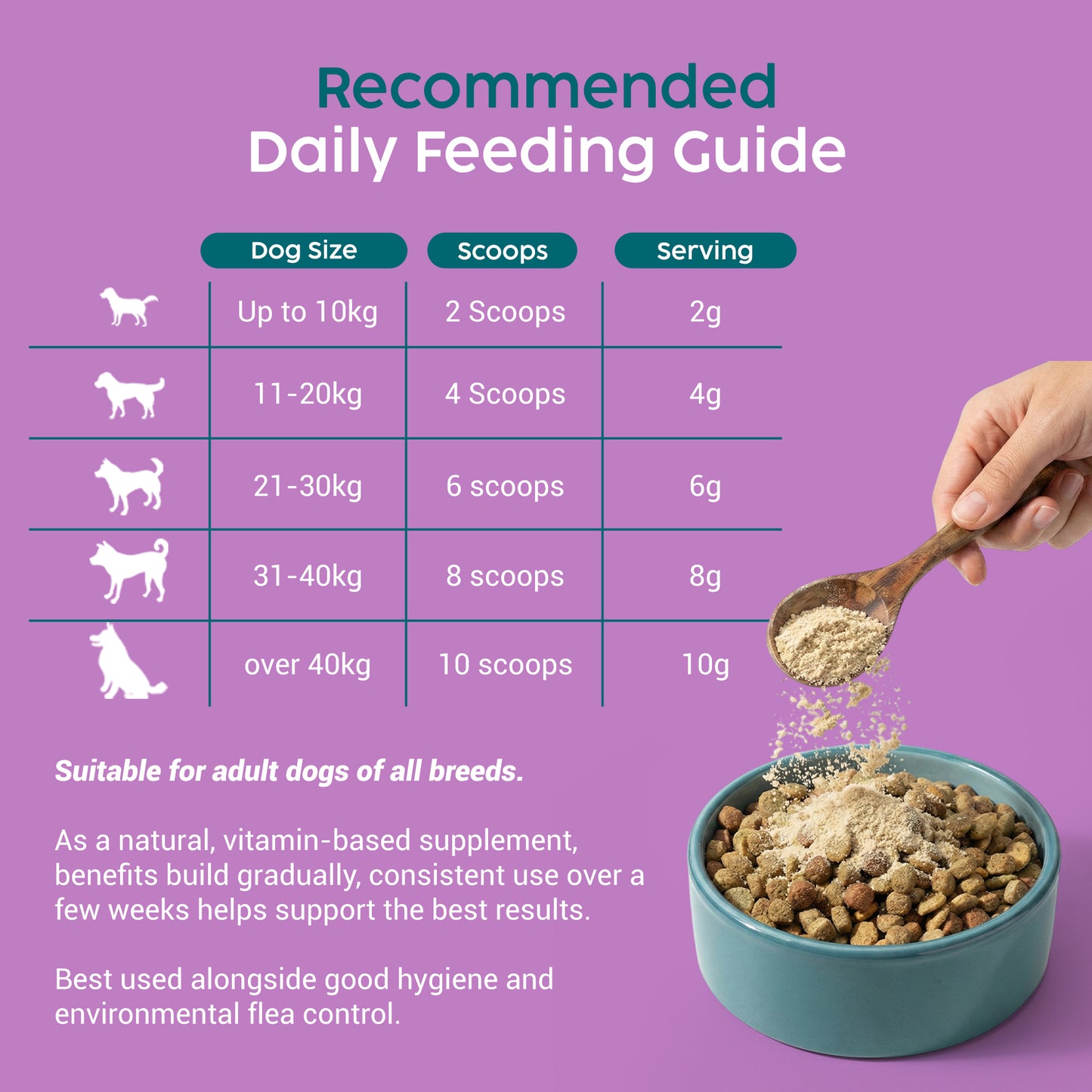 Zanipro Natural Tick & Flea Support Powder for Dogs | Thiamine & Brewer’s Yeast | 100g