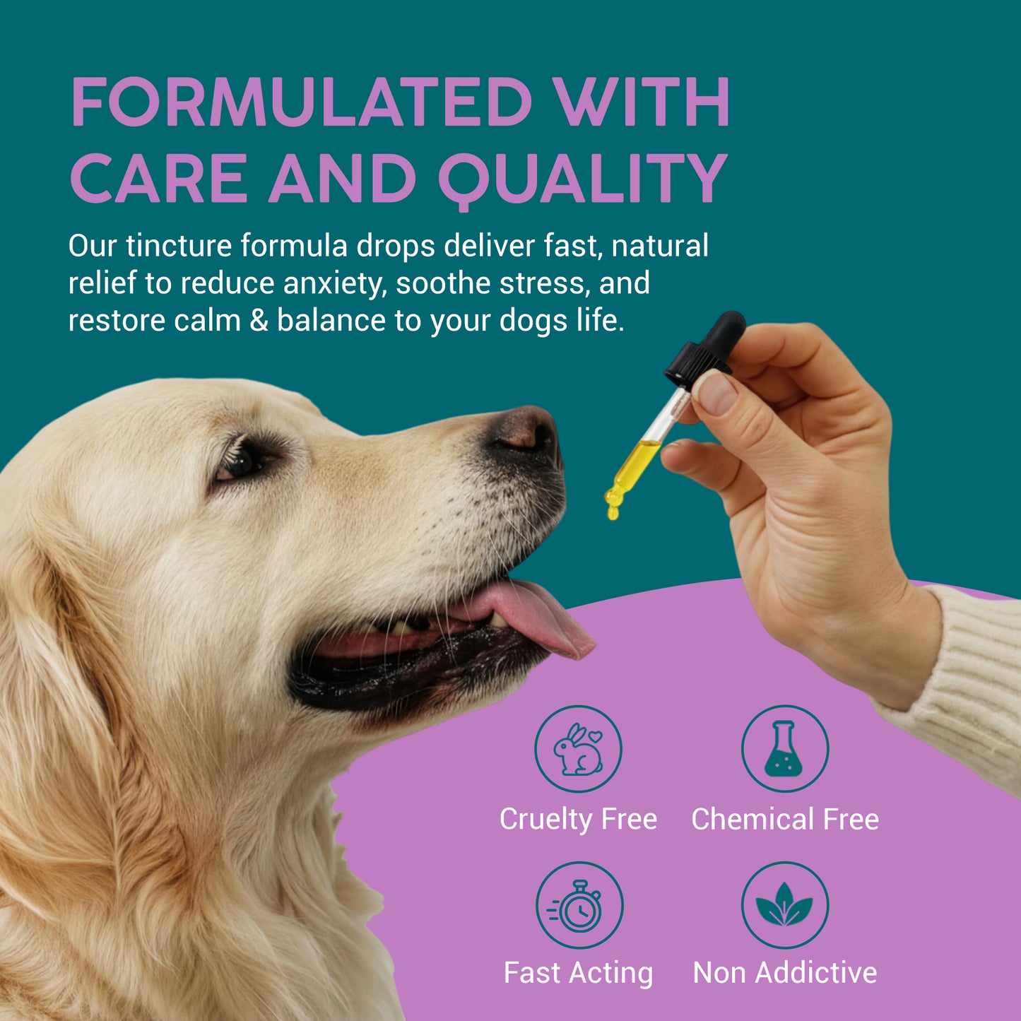 Valerian Calming Drops for Dogs – Herbal Anxiety & Stress Relief (50ml)