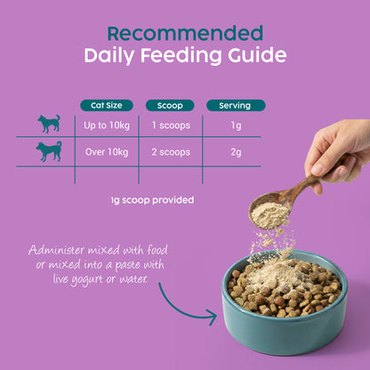 Dog Calming Powder – Natural Anxiety & Stress Relief – Beef Flavour (100g)