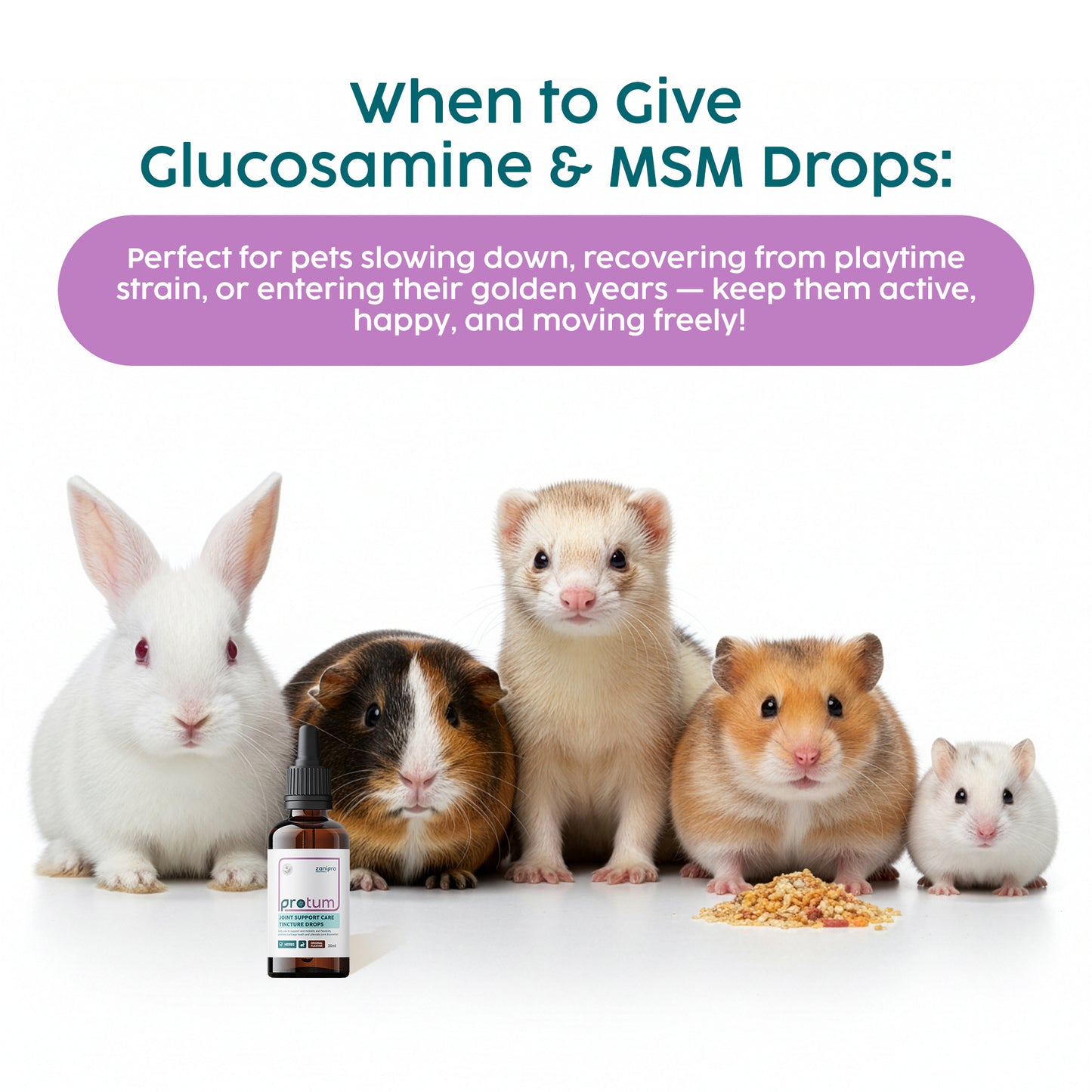 Joint Supplement Drops for Rabbits & Small Animals – Glucosamine & MSM (30ml)