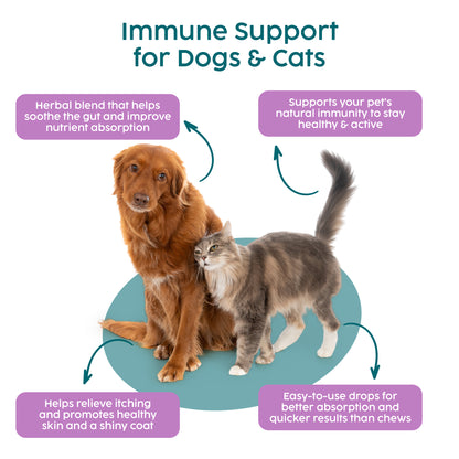 Immune Support Drops for Dogs & Cats – Slippery Elm Digestion & Detox (50ml)