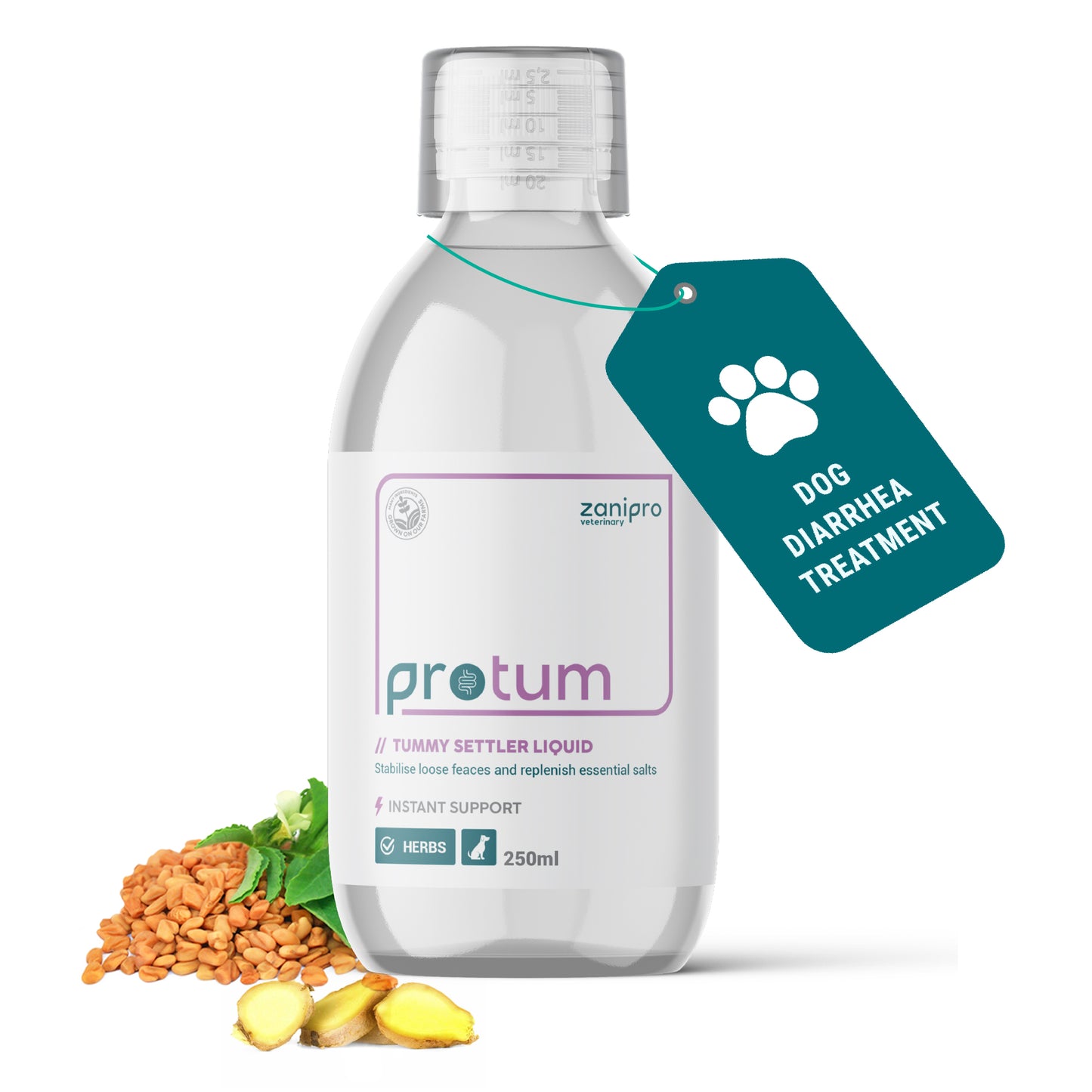 ProTum Advanced Dog Tummy Settler - 250ml