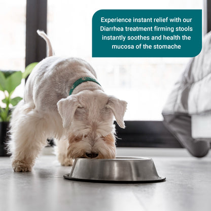 ProTum Advanced Dog Tummy Settler - 250ml