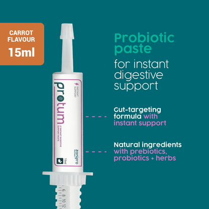 ProTum Advanced Rabbit Digestive Paste - Syringe