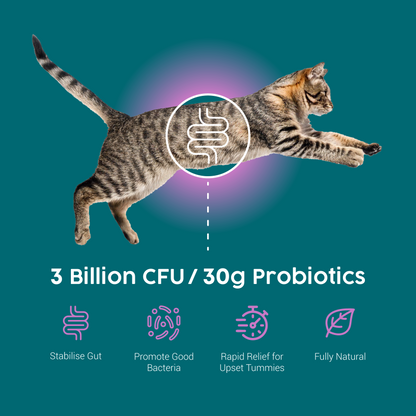 ProTum Advanced Cat Digestive Paste - Syringe