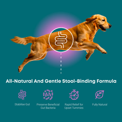 ProTum Advanced Dog Tummy Settler - 250ml