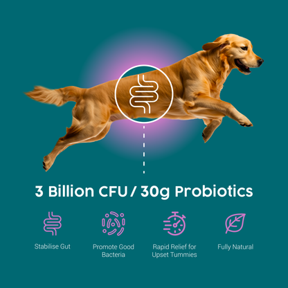 ProTum Advanced Dog Digestive Paste