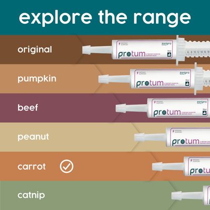 ProTum Advanced Rabbit Digestive Paste - Syringe