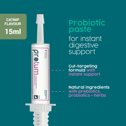 ProTum Advanced Cat Digestive Paste - Syringe