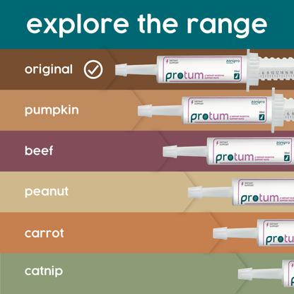 ProTum Advanced Dog Digestive Paste