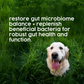 ProTum Advanced Dog Digestive Paste - Eco Refill