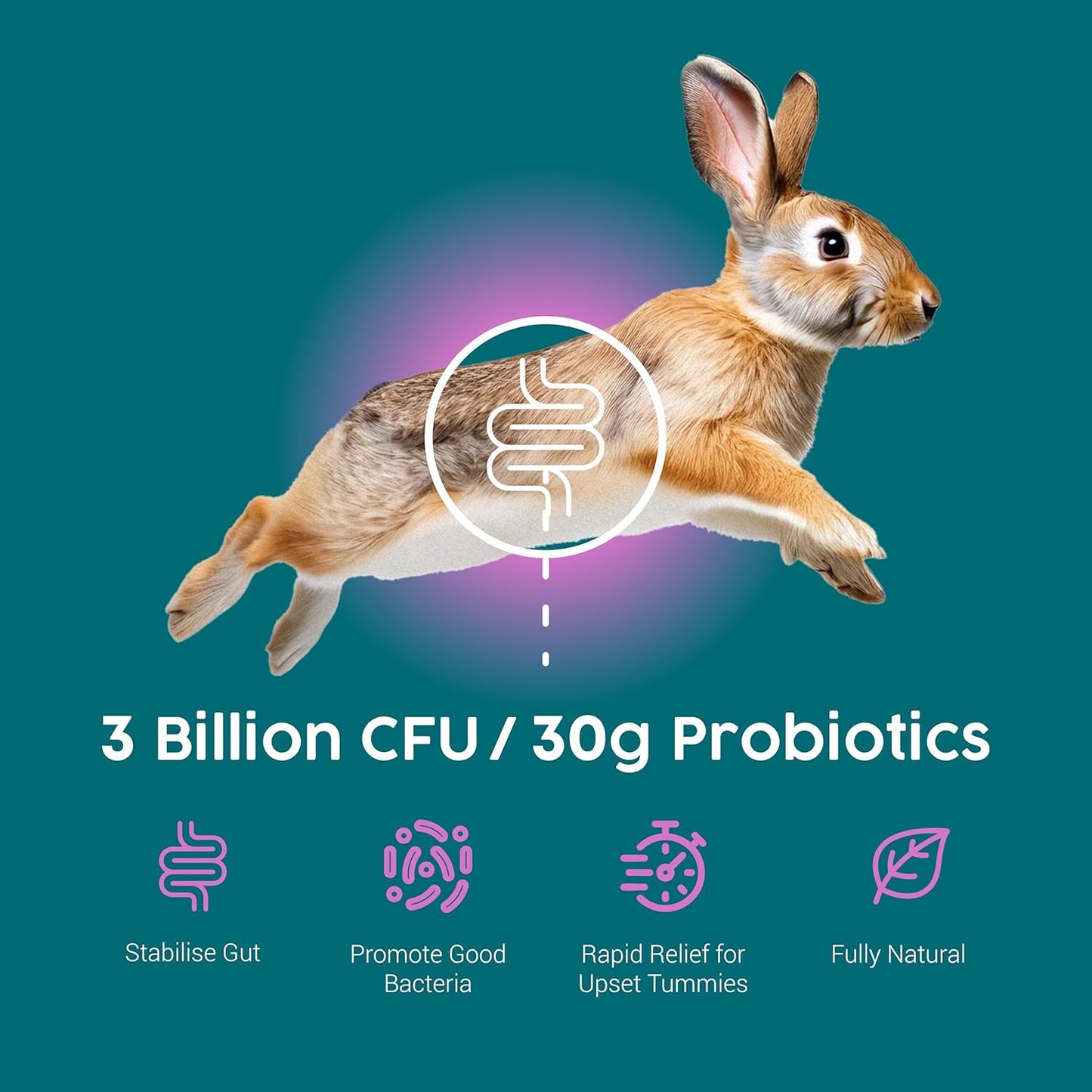 ProTum Advanced Rabbit Digestive Paste - Syringe