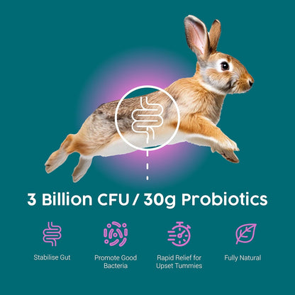 ProTum Advanced Rabbit Digestive Paste - Syringe