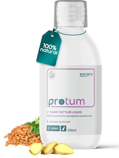 ProTum Advanced Dog Tummy Settler - 250ml