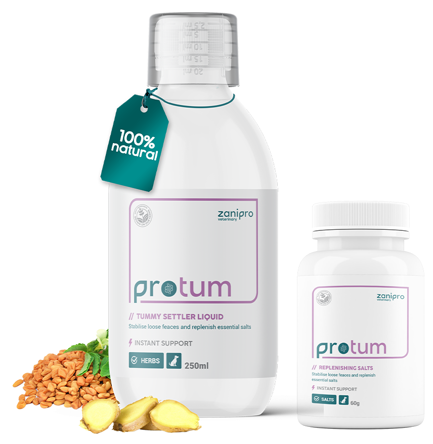 ProTum Advanced Dog Tummy Settler - 250ml
