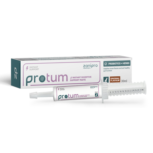 ProTum Advanced Dog Digestive Paste