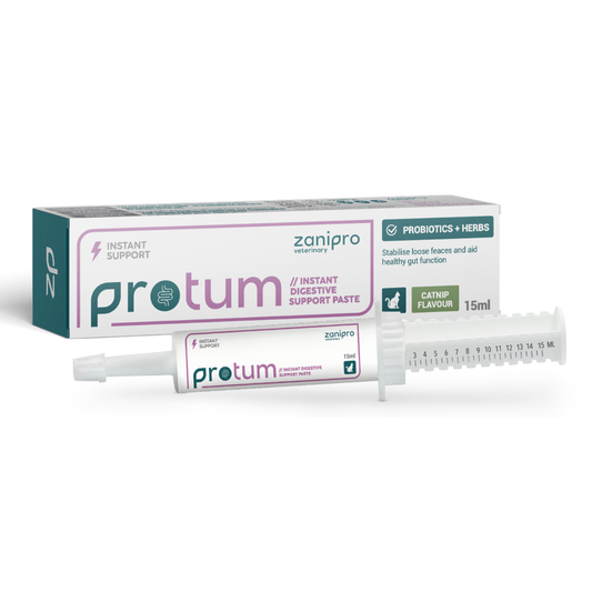 ProTum Advanced Cat Digestive Paste - Syringe