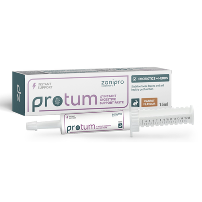 ProTum Advanced Rabbit Digestive Paste - Syringe